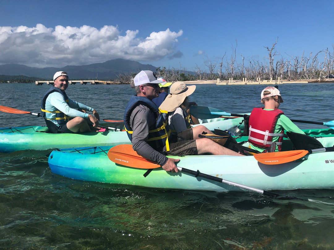 Barefoot Travelers Kayak Tour to Monkey Island景点图片