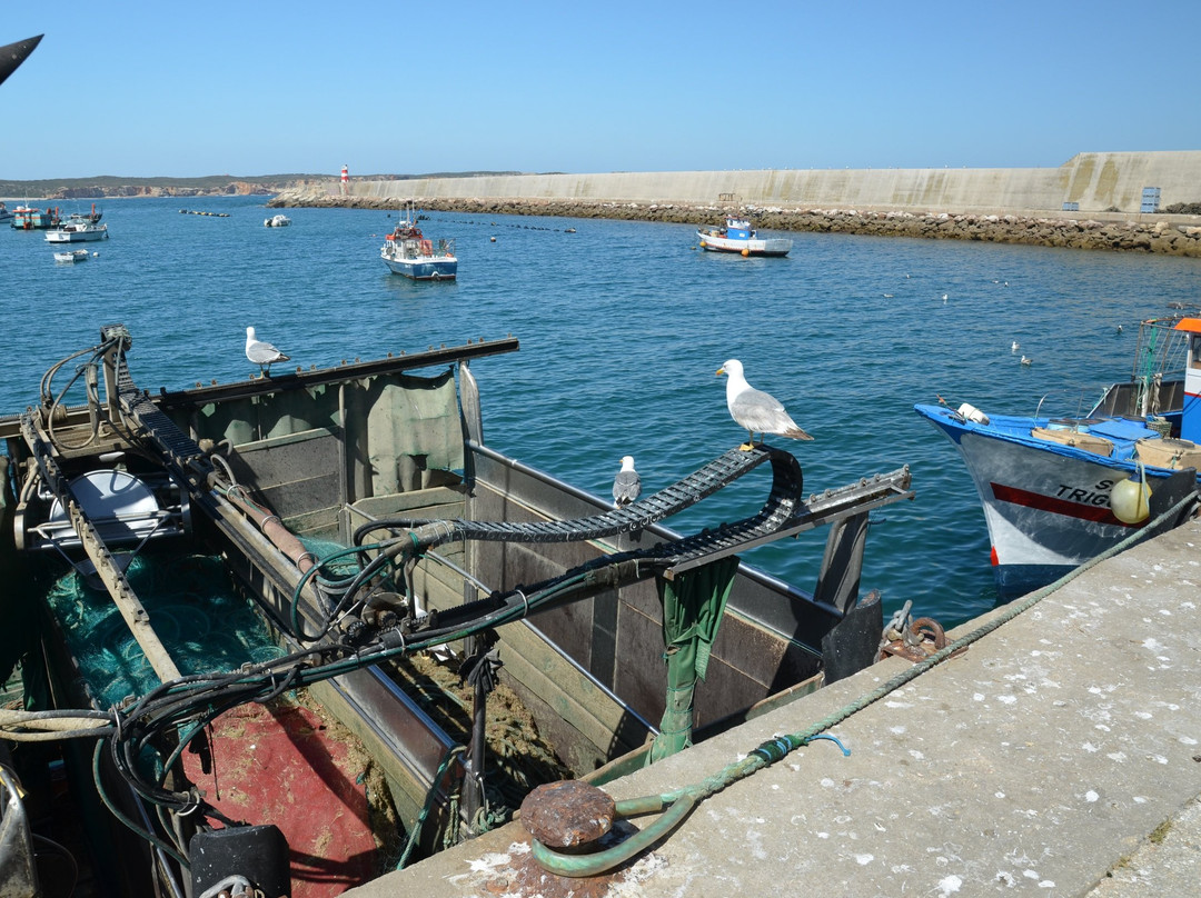 Porto da Baleeira-萨格里什必去景点