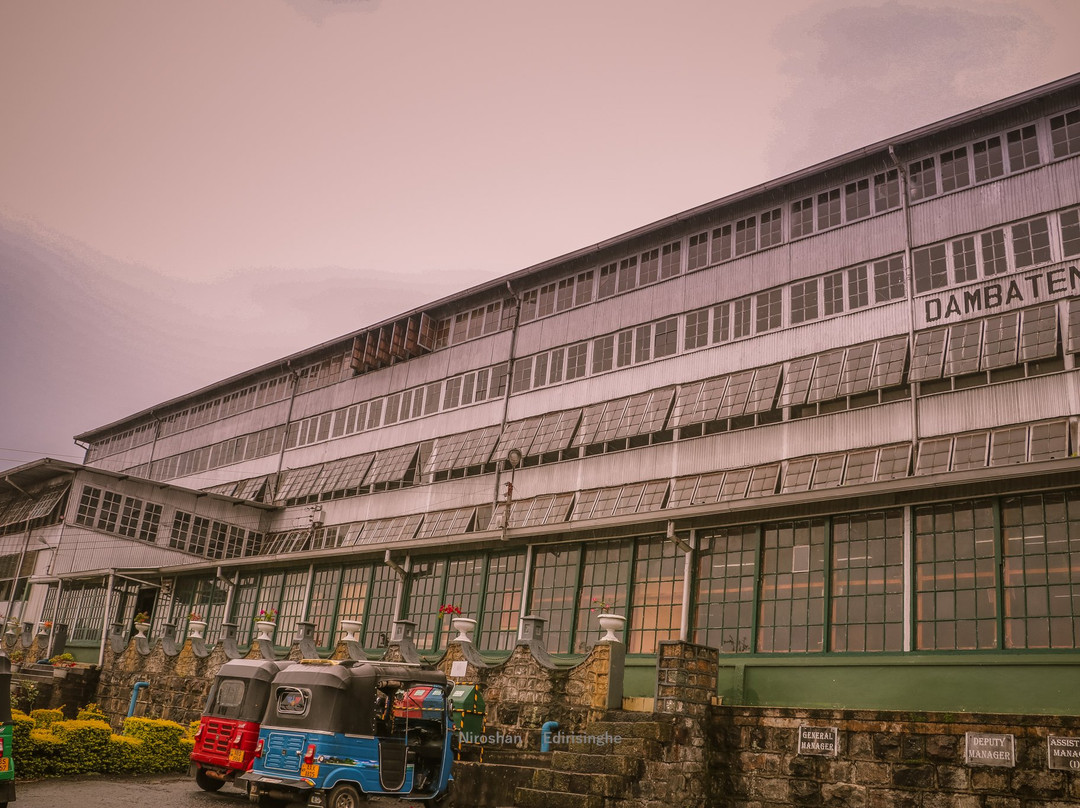 Dambatenne Tea Factory景点图片