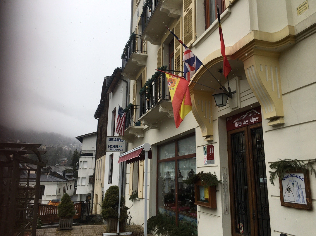 Hotel des Alpes主图