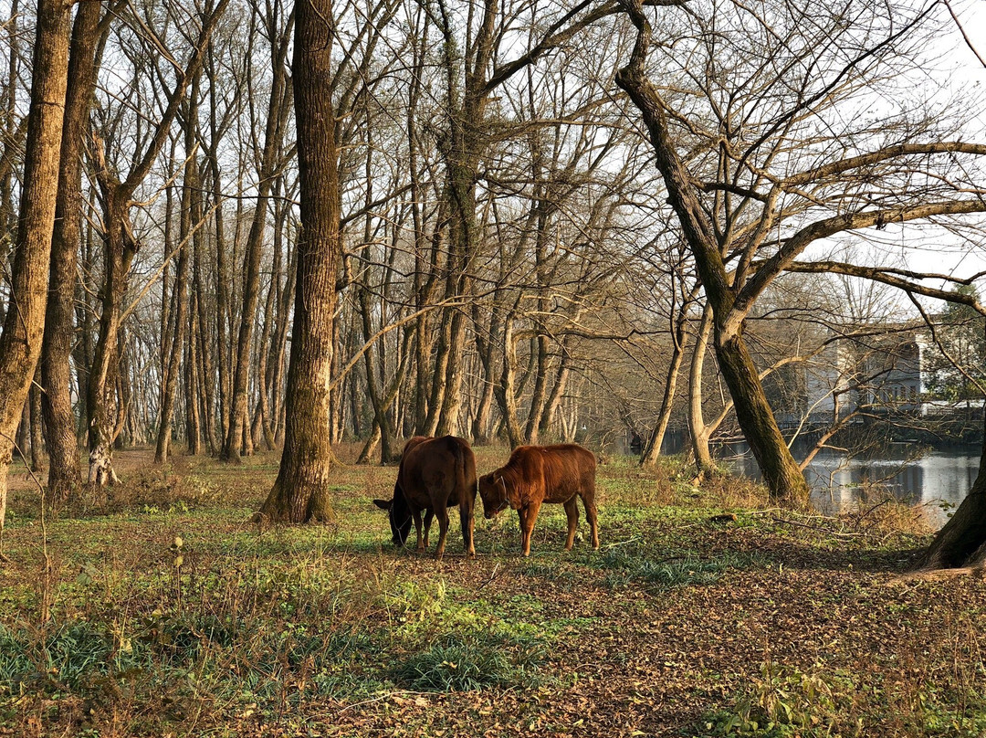 徽州古城-歙县必去景点