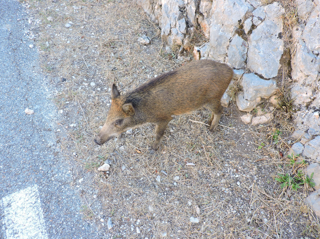 拉内斯克峡谷-Monieux必去景点