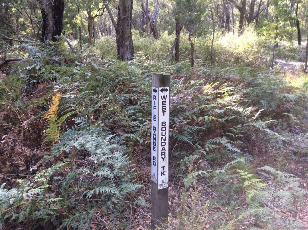 Traralgon South Flora and Fauna Reserve-特拉拉尔根必去景点