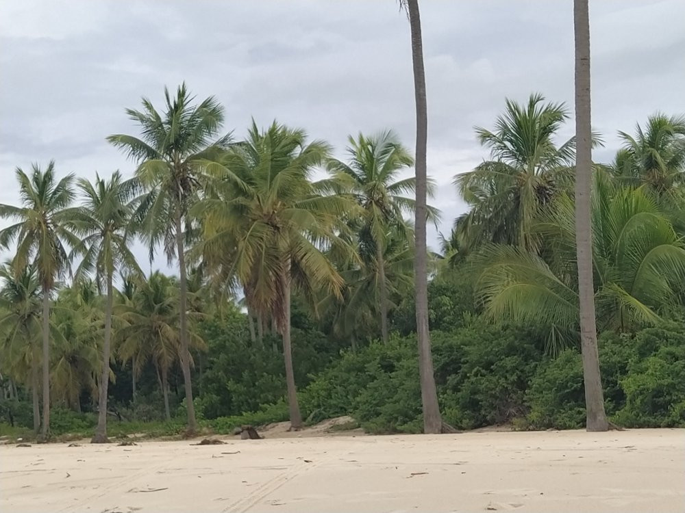 Porto Mirim Beach景点图片