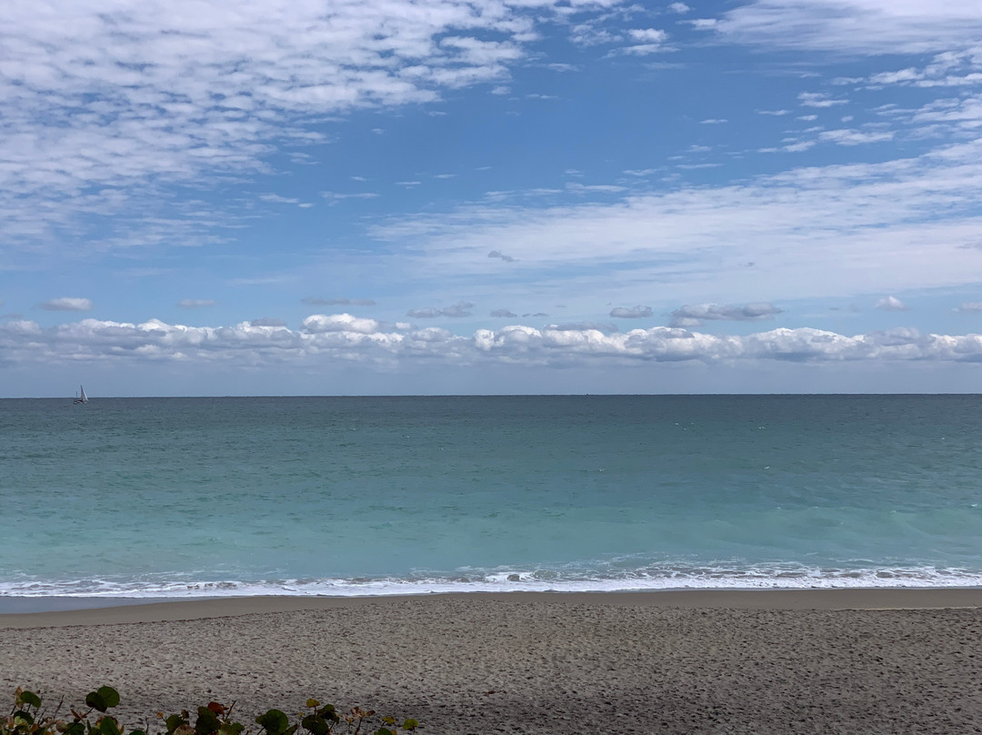 Jupiter Dog Beach-朱庇特必去景点