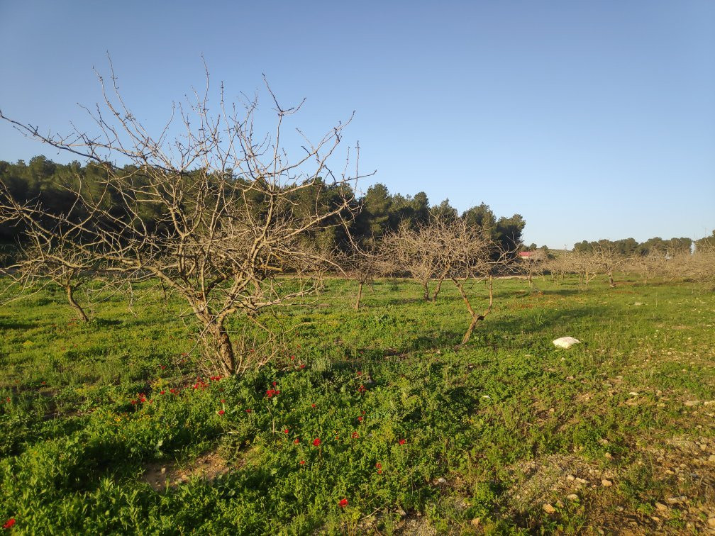 Joe Alon Center-Lahav必去景点