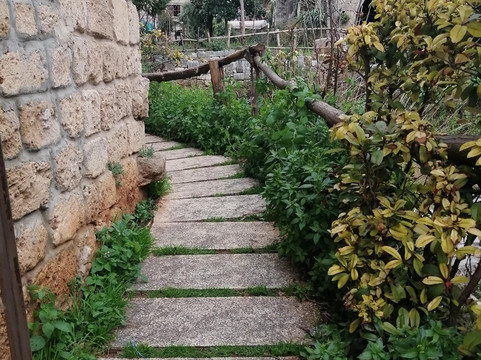 Lebanon Group Tours-贝鲁特必去景点