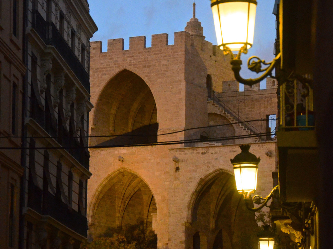 Barrio del Carmen景点图片