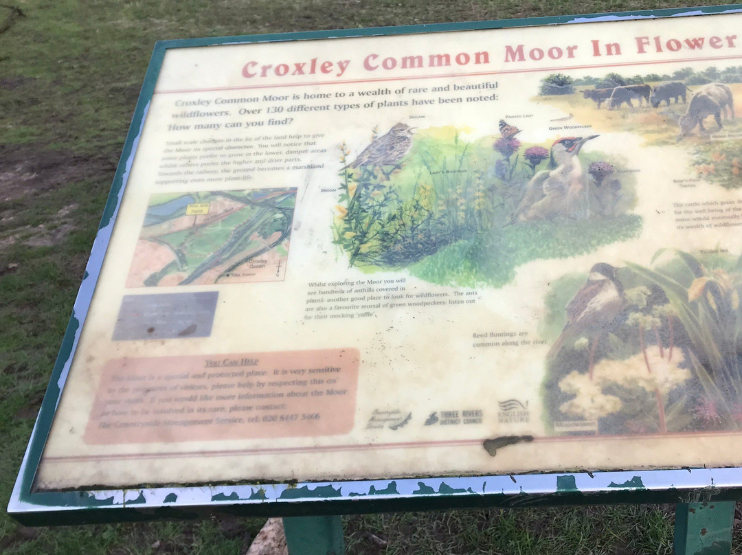 Croxley Common Moor景点图片