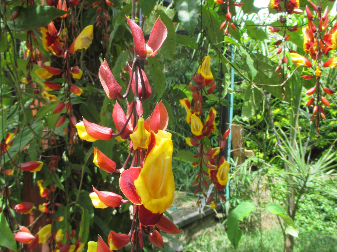 Hotel Troy Nairobi主图