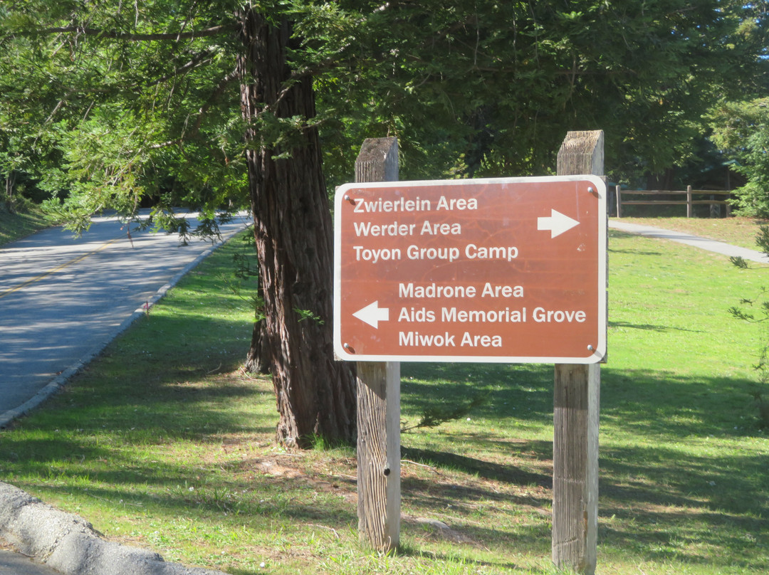 Huddart Park/Skyline Loop-Woodside必去景点