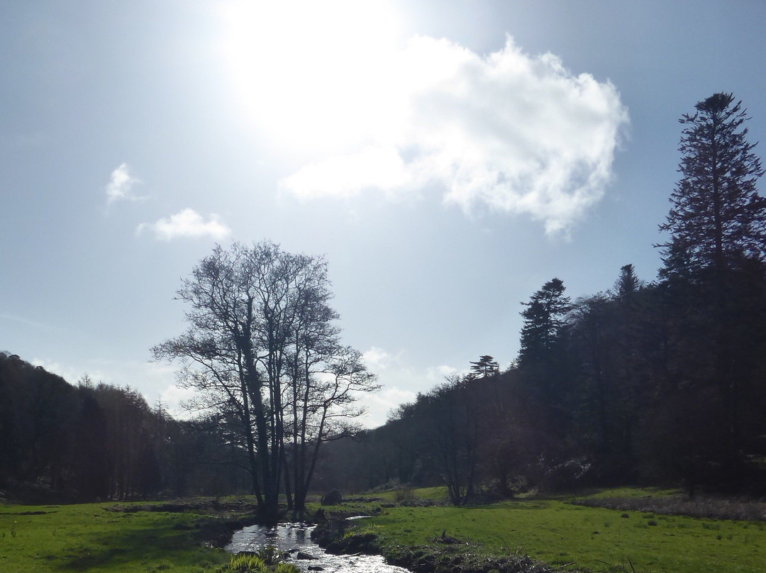 Colby Woodland Garden (National Trust)景点图片