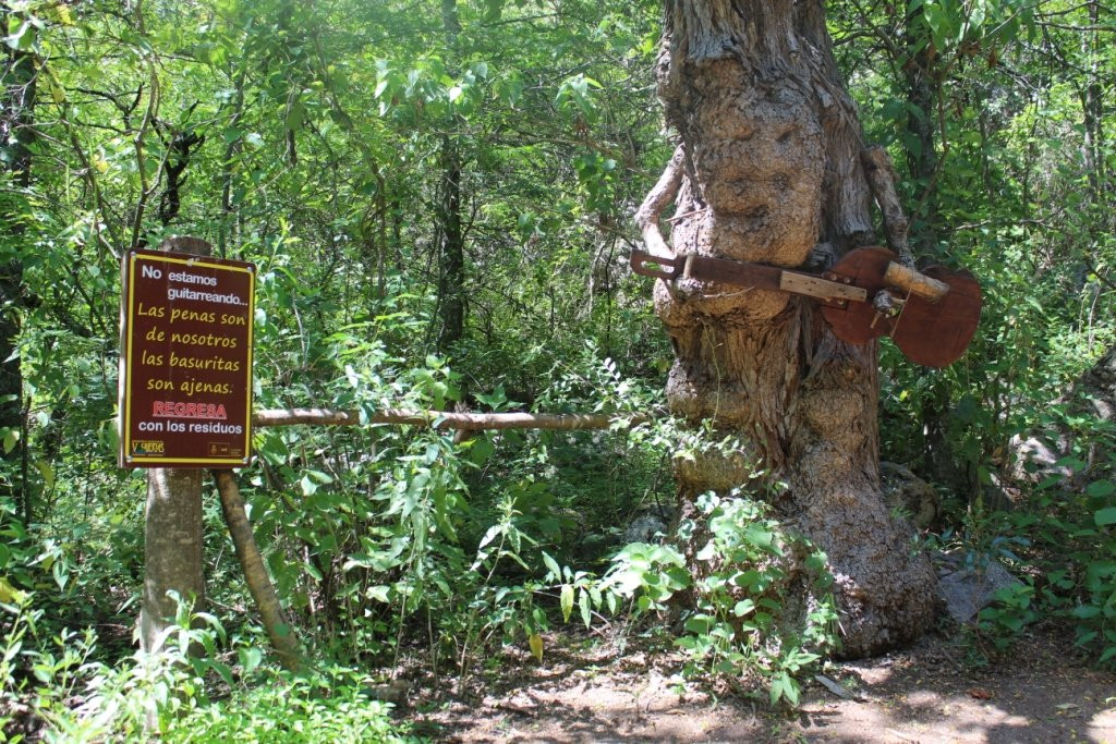 Reserva Natural Vaquerias景点图片