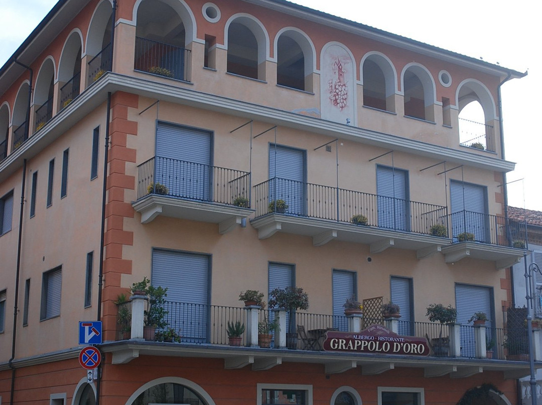 Hotel Il Grappolo D'Oro主图