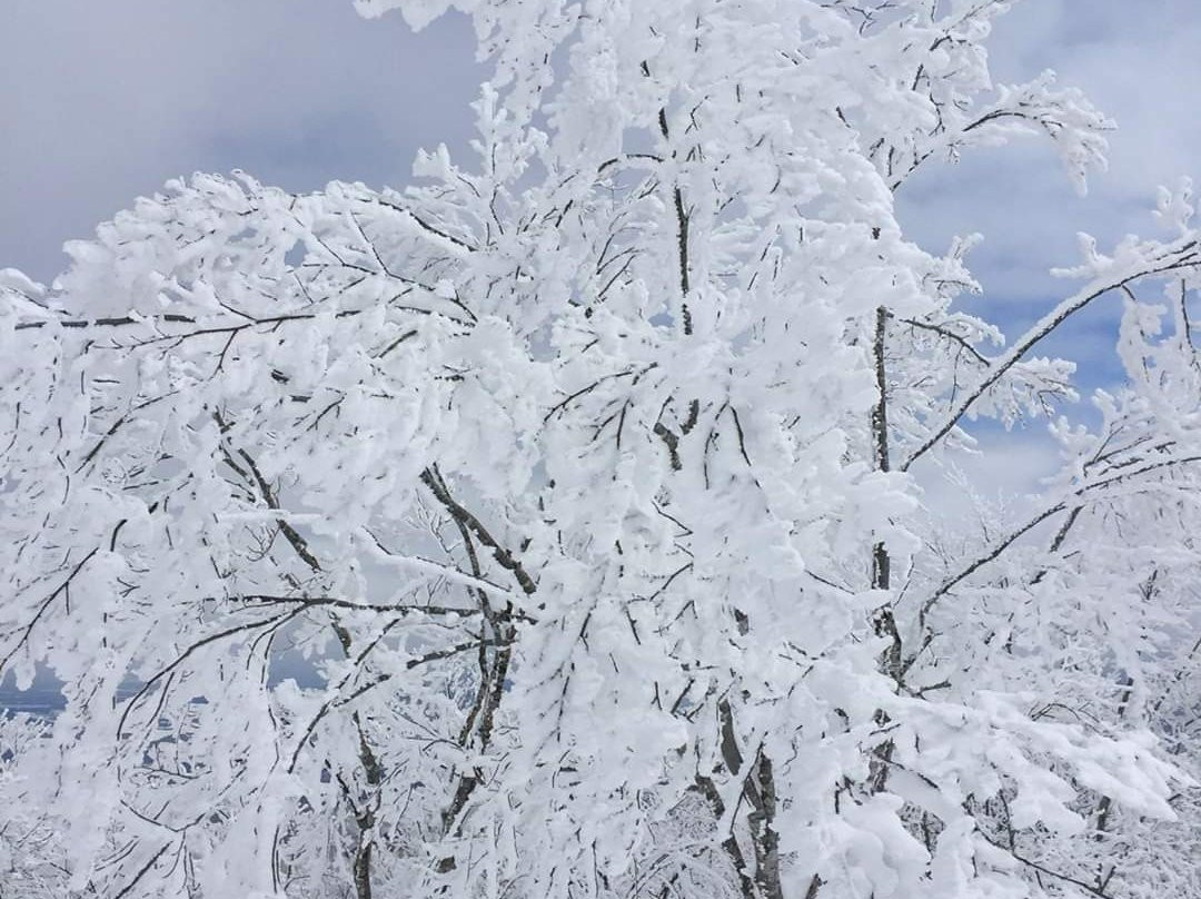 Lake Ontario景点图片