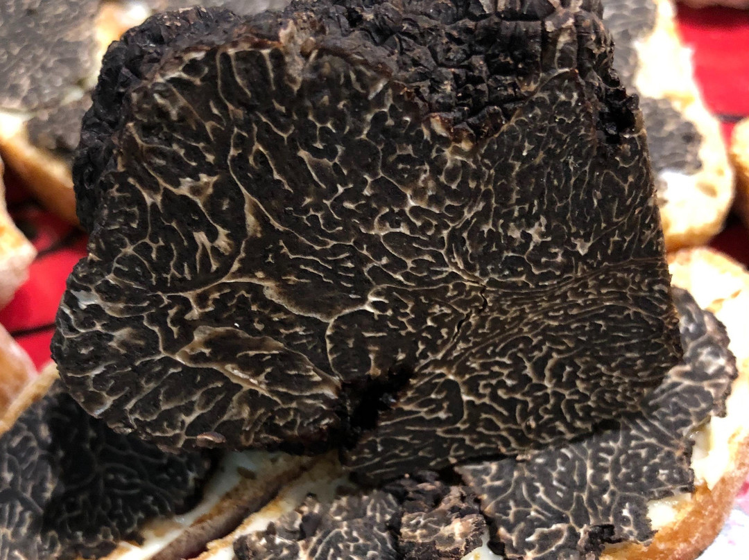 Truffes NJP景点图片