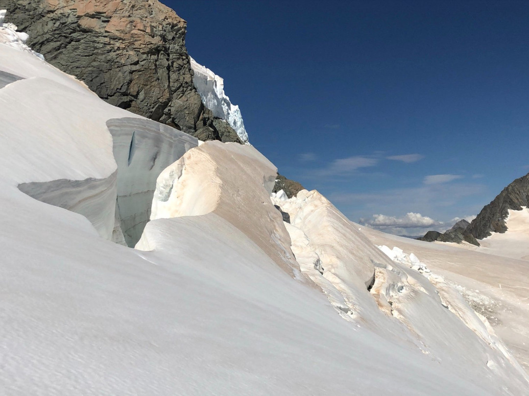 Alpine Guides景点图片