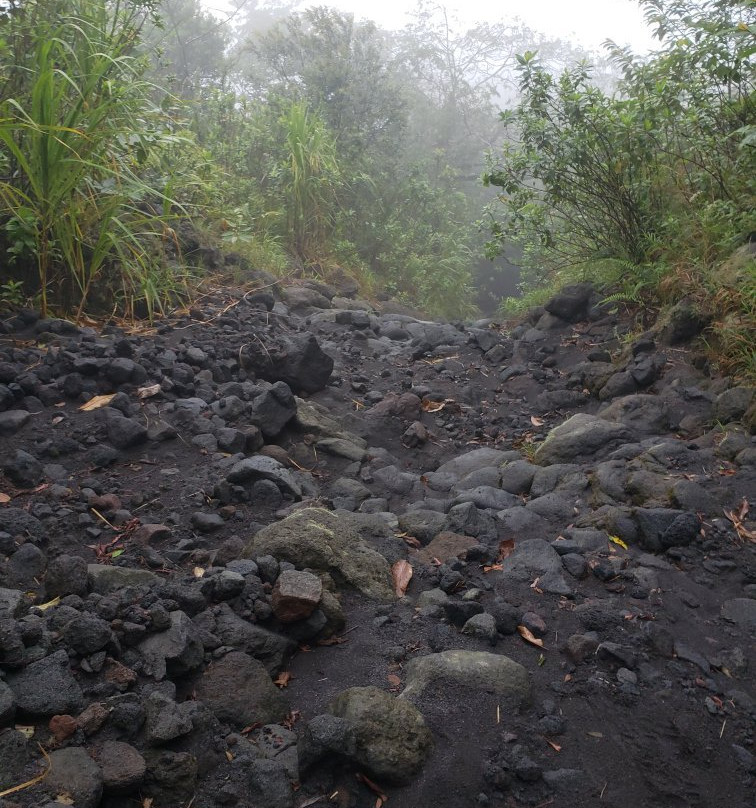 La Fortuna Arenal Volcano Rain Forest Reserve-福德圣卡洛斯必去景点