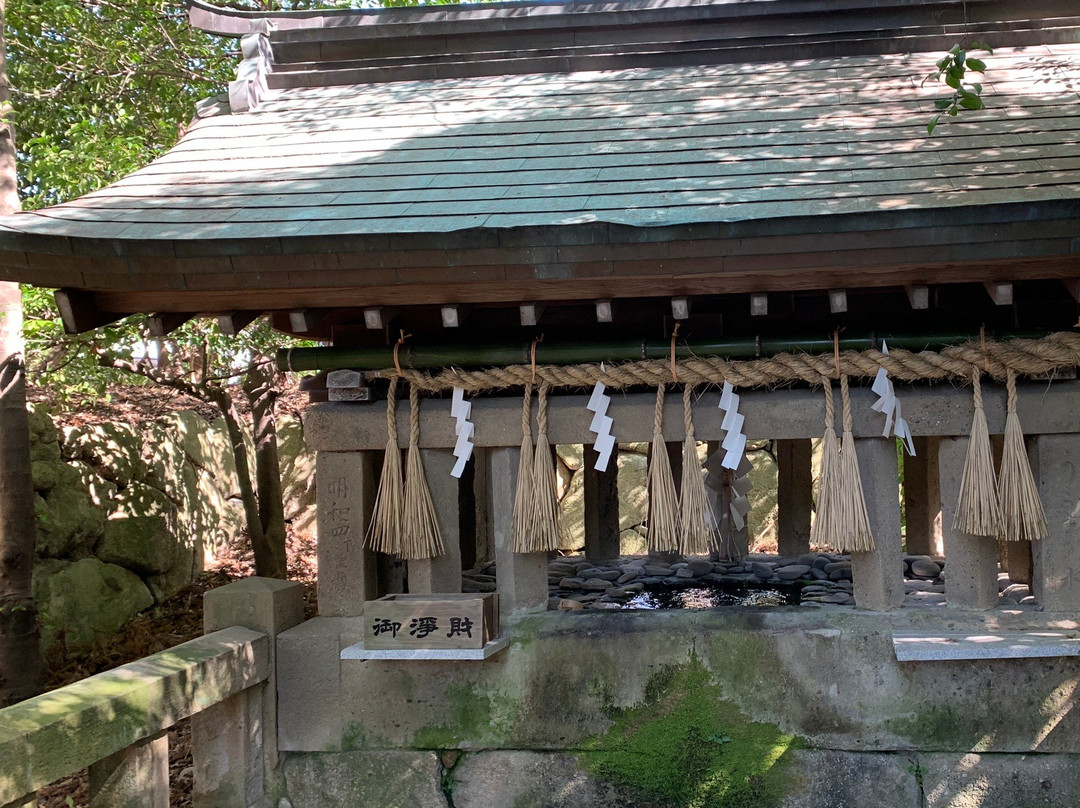 Umi Hachimangu Shrine景点图片