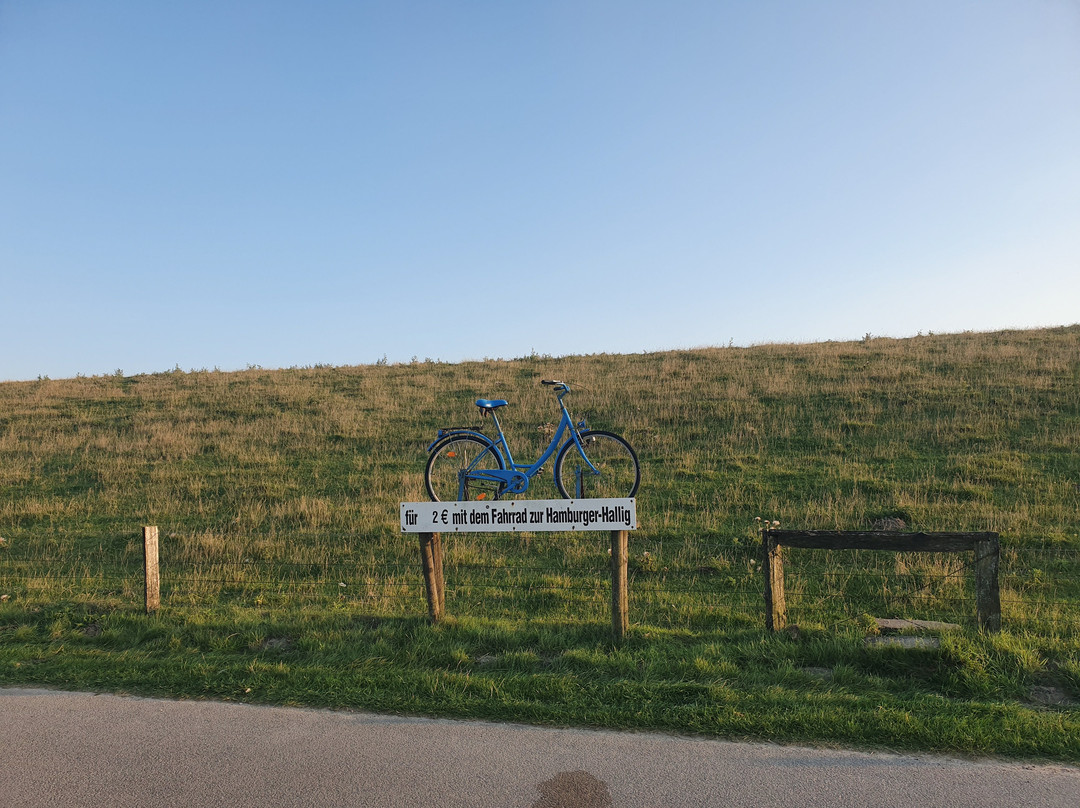 Hamburger Hallig-Bredstedt必去景点