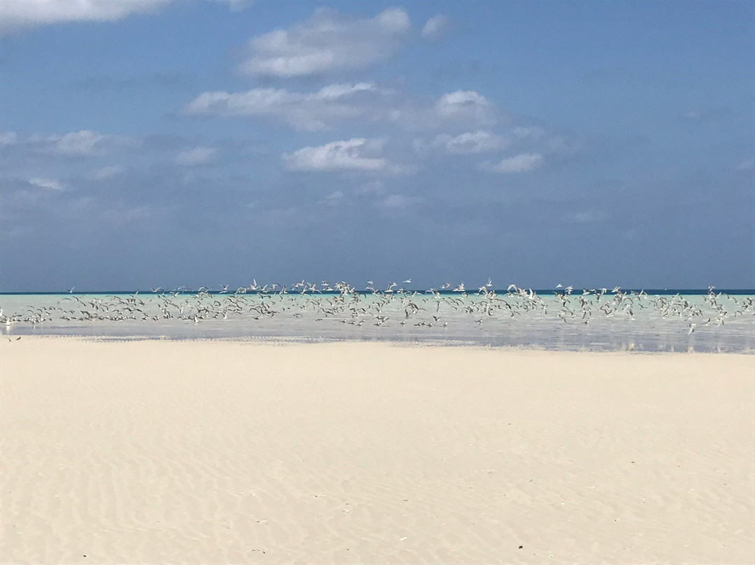 Bangaram Island-Bangaram必去景点