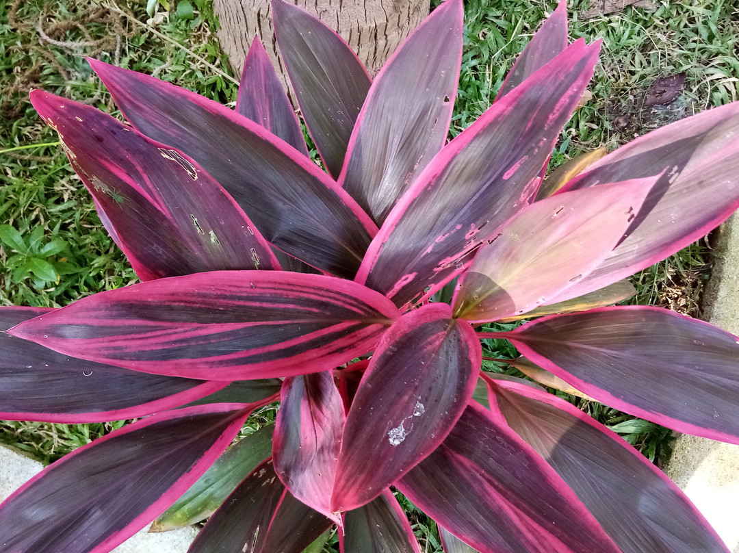 Miheen Hotel & Resort主图