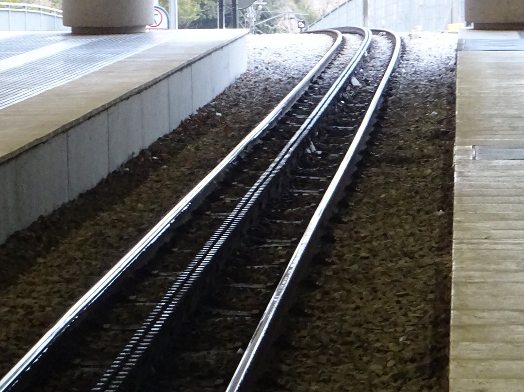 Tren cremallera de Montserrat-Monistrol de Montserrat必去景点
