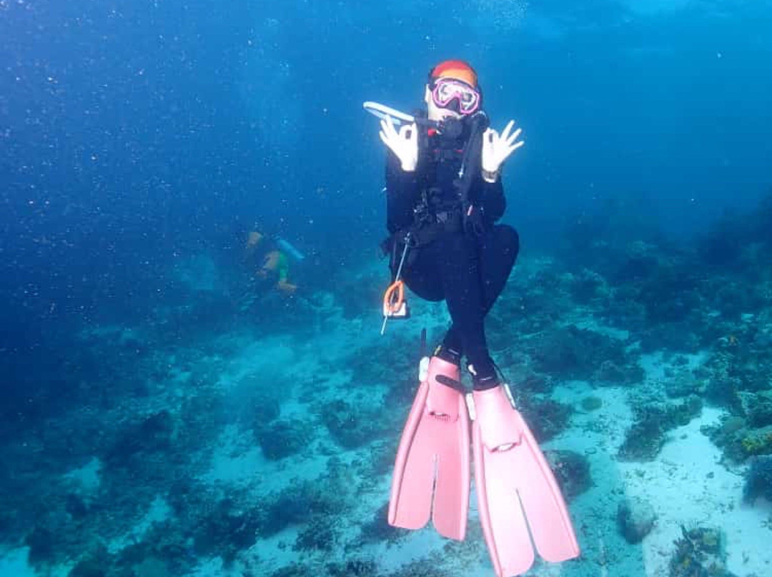 Dive Alor Dive景点图片