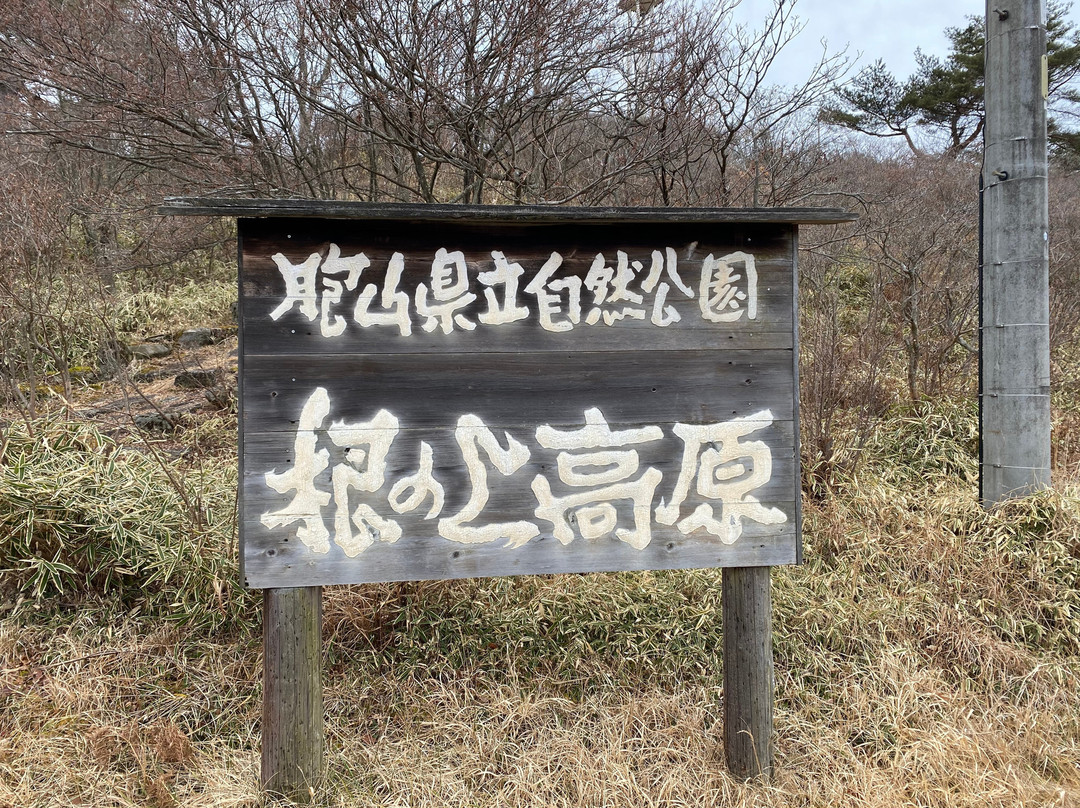 Nenokami Kogen-中津川市必去景点