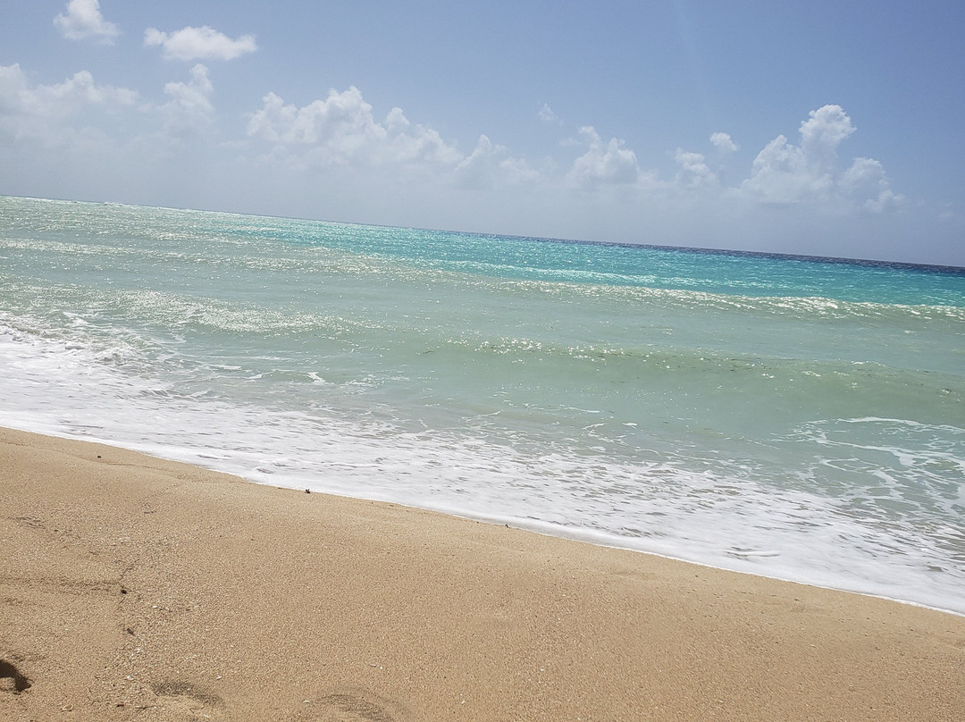 Sandy Point Beach And National Wildlife Refuge-圣克鲁斯必去景点