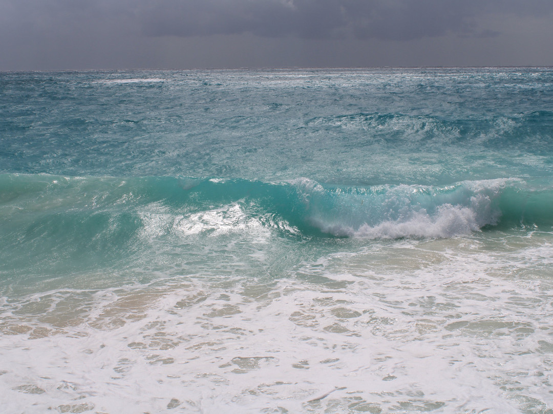 Bella Isla Resort主图