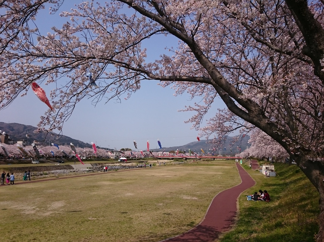 Aikawa Mizube Park-垂井町必去景点