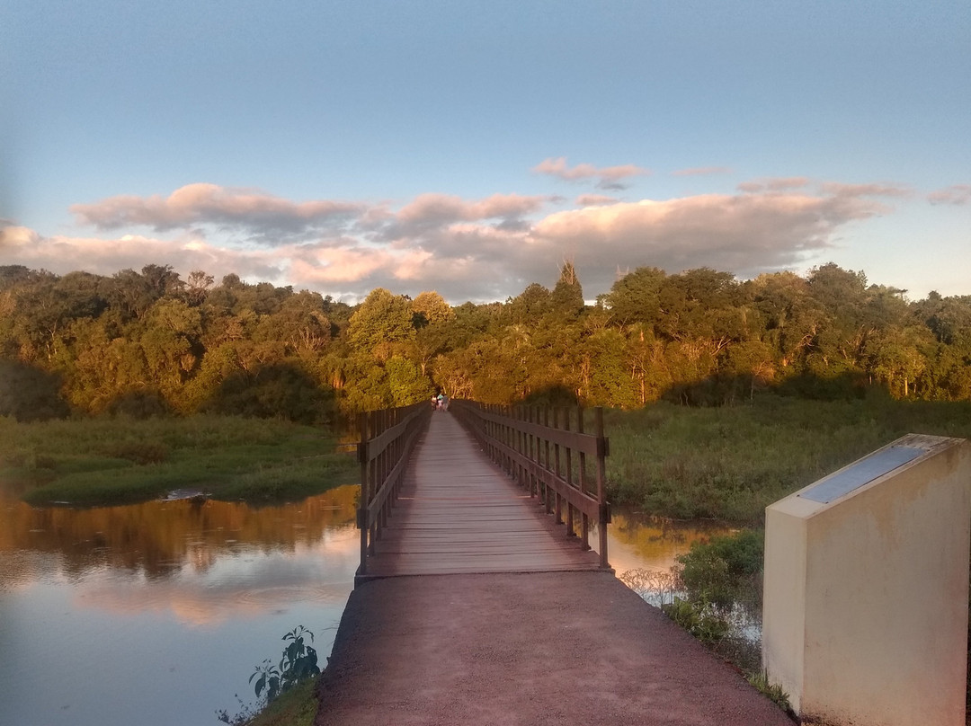 Parque do Lago景点图片