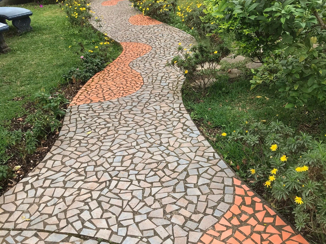 Hotel Ave del Paraiso主图