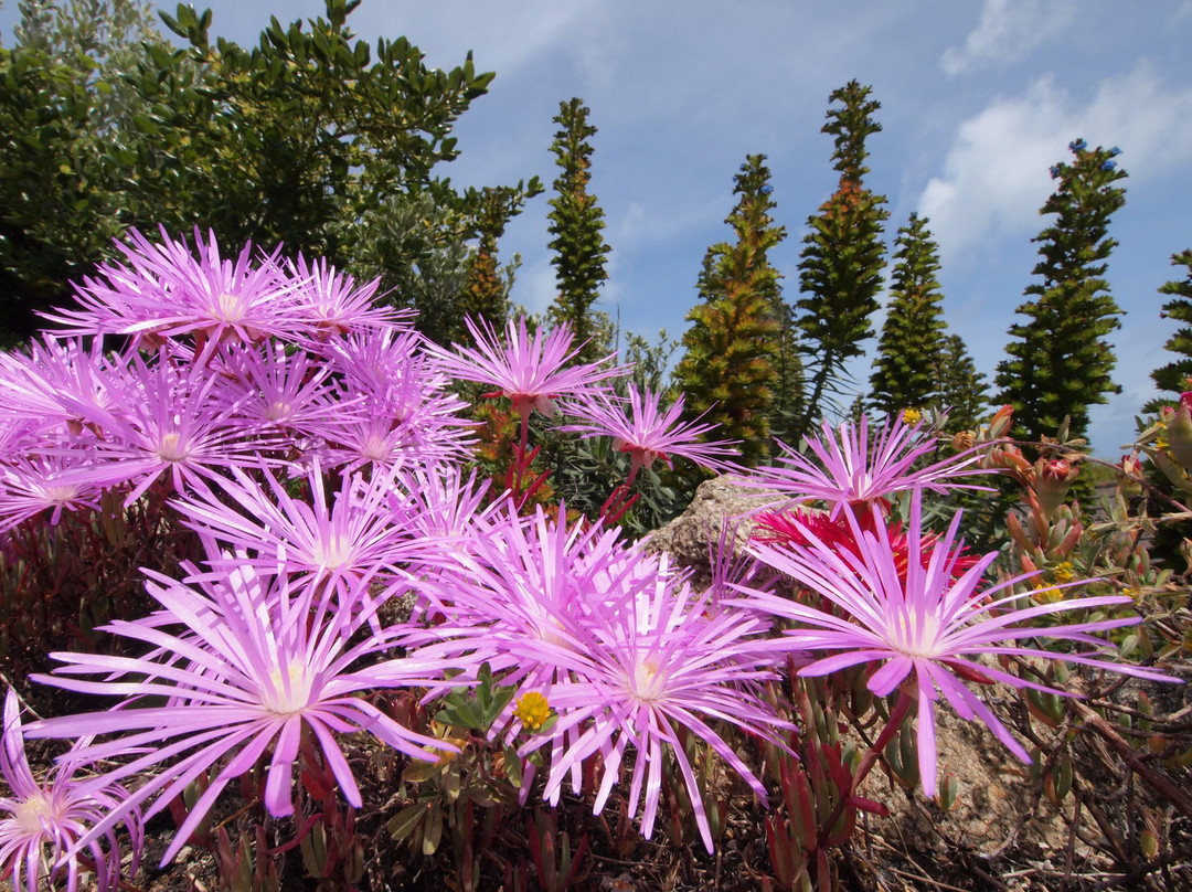 Schiller Holiday Suites主图