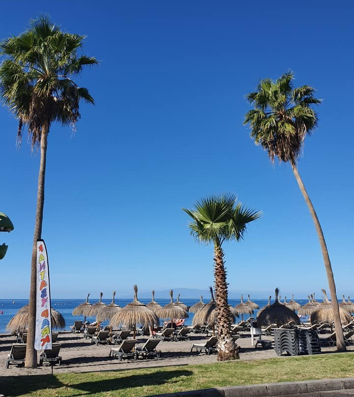 Playa de Torviscas-特纳里夫必去景点