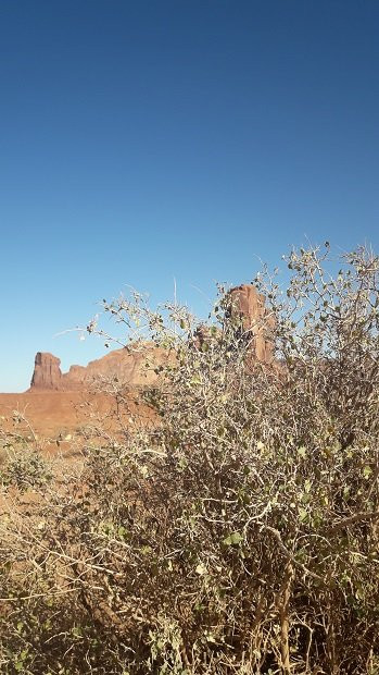Grand Canyon National Park景点图片