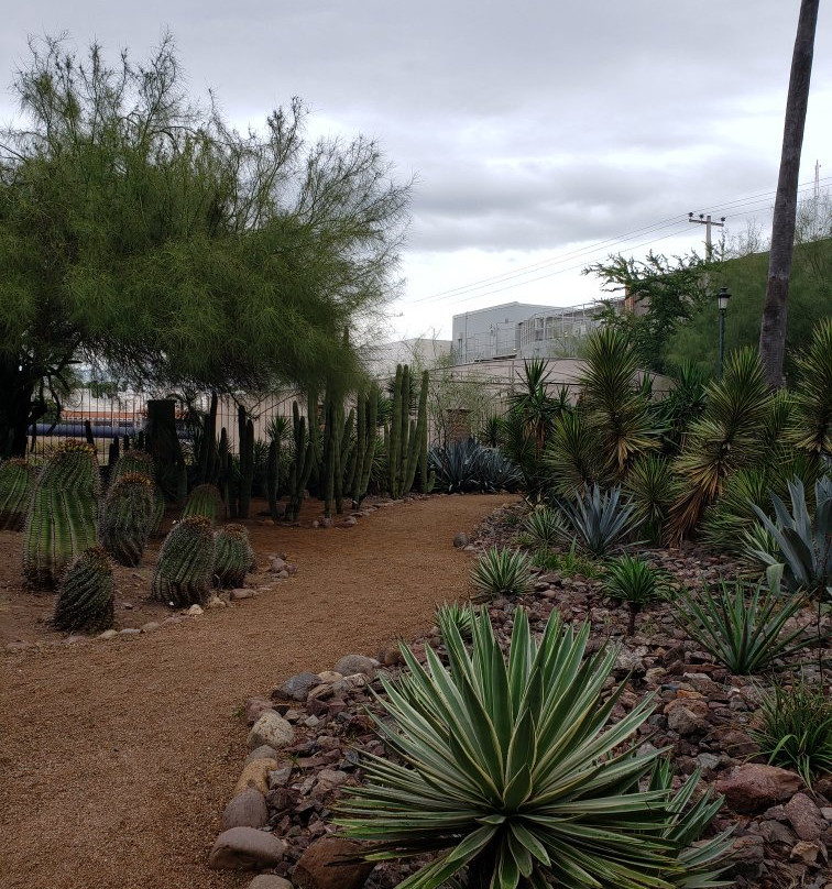 Parque Sinaloa-Los Mochis必去景点