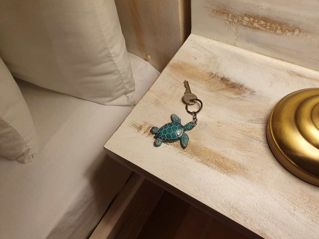 Turtle Lagoon Beach主图