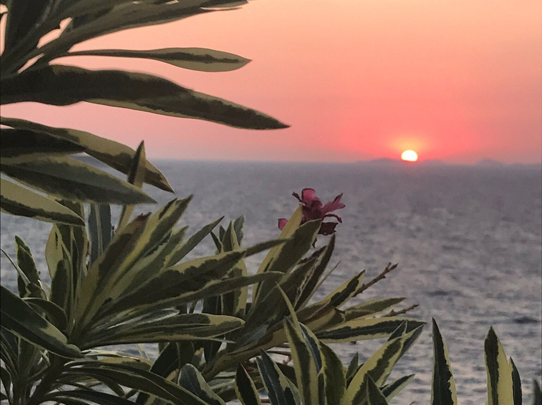 Mandalina Luxury Boutique Otel主图