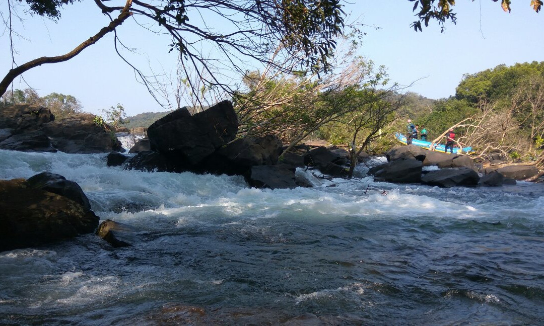 Kali River景点图片
