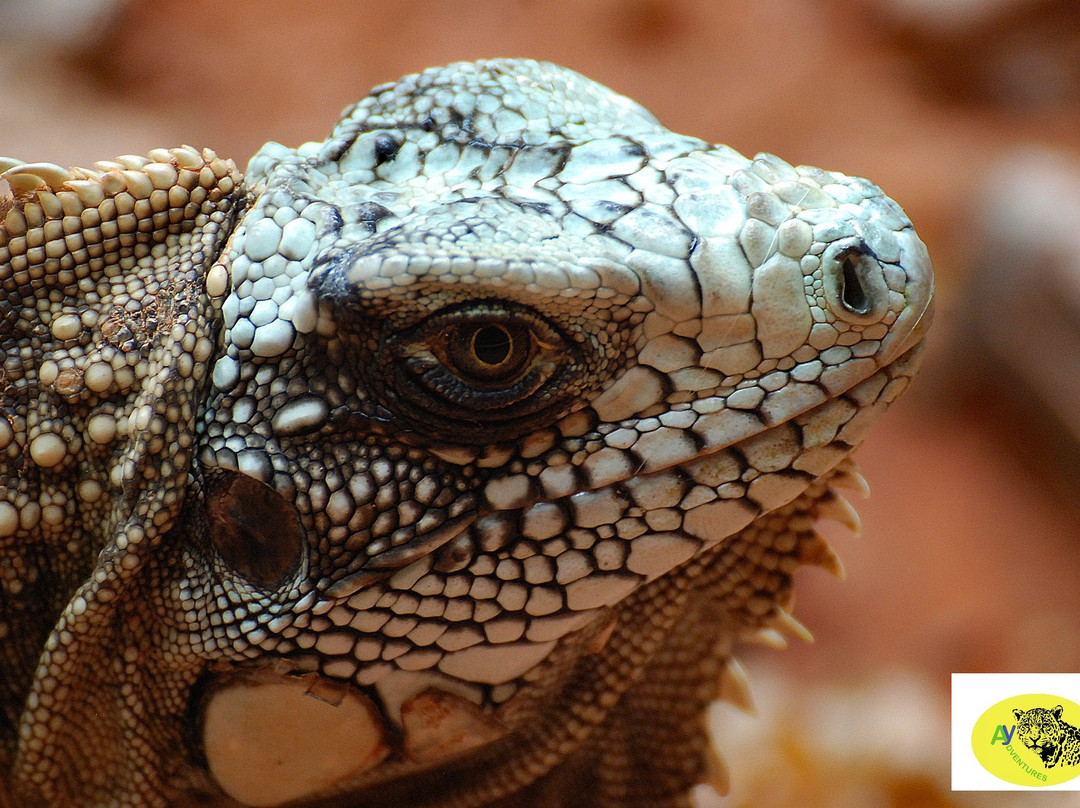 Poço Encantado-Itaete必去景点