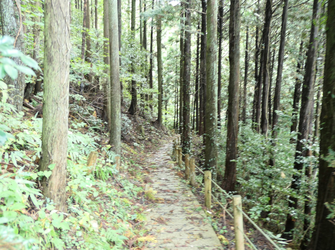 Okedaki Falls景点图片