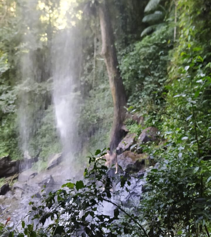 Nossa Senhora de Fátima Grotto景点图片