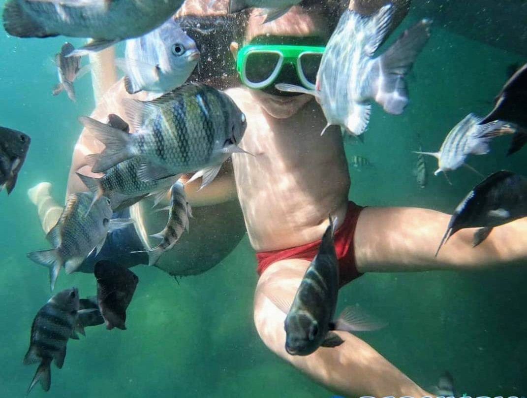 Barquario-乌巴图巴必去景点