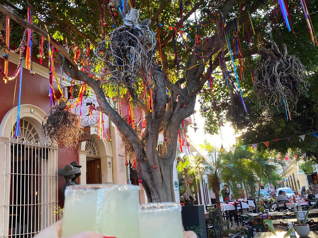 Hotel Raices de Mar主图