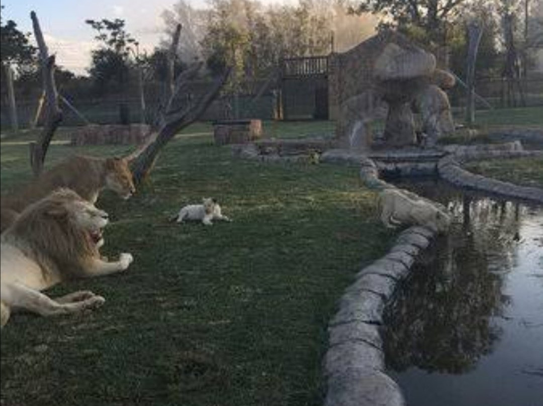 Caesar's Bush Palace-瓦尔沃特必去景点