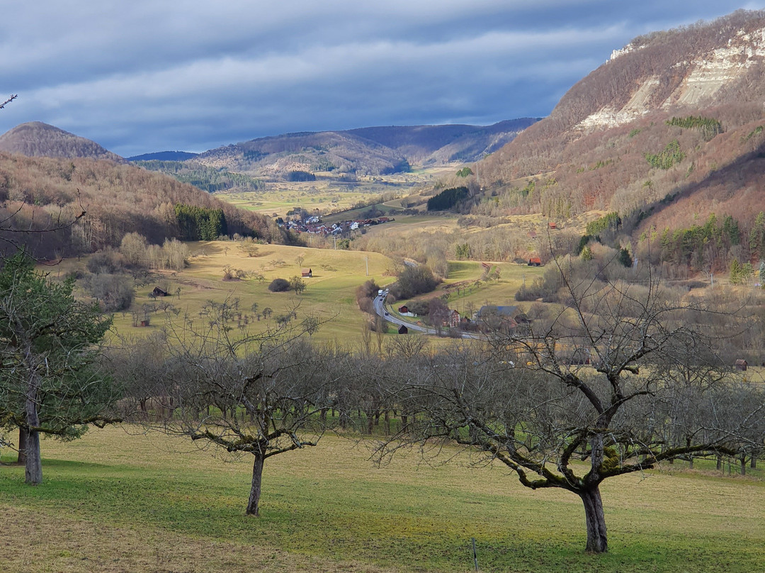 Hotel & Restaurant Altes Pfarrhaus主图