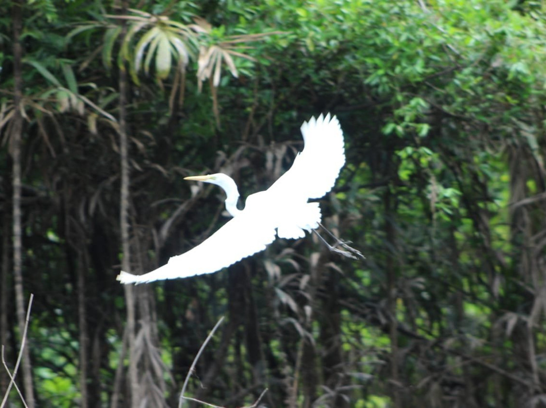 Samiria Expeditions-伊基托斯必去景点