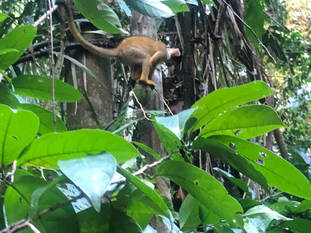 Bala Tours & Ecolodges-Rurrenabaque必去景点